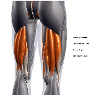 hamstring pain treatment
