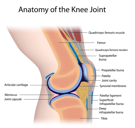 hamstring-tendinitis