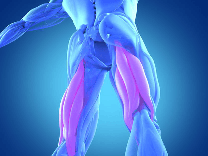 thigh-pain-diagnosis