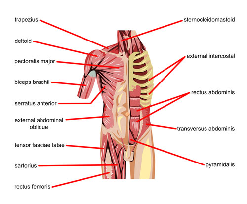 Core Stability