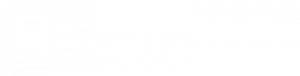 HealthSEO logo